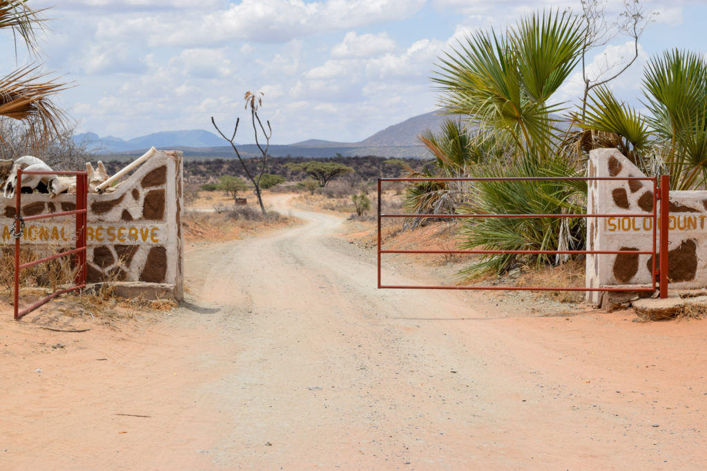 Featured in Jaya Travel & Tours blog "Movie Locations from Out of Africa" this image shows the Game drive at Shaba National Reserve Kenya.