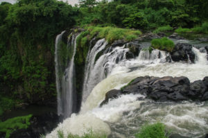 - Jaya Travel & Tours Featured in the blog "Walk in the steps of Apocalypto Film Locations" by Jaya Travel & Tours, this image shows the film destination Eyipantla Falls in Mexico.