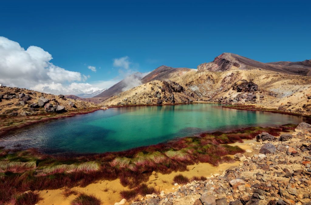 Featured in the blog "Hunt for the Wilderpeople Film Locations" this image shows the movie location of the Tongariro Alpine Crossing in New Zealand.