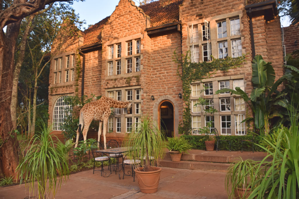 giraffe in front of hotel in africa from Jaya Travel & Tours blog "Unique & Special Hotels Around the World"