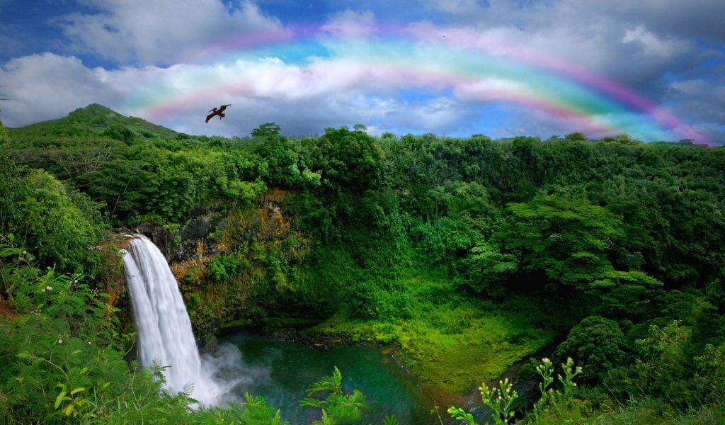 Jaya Travel Tours Travel Packages Hawaii